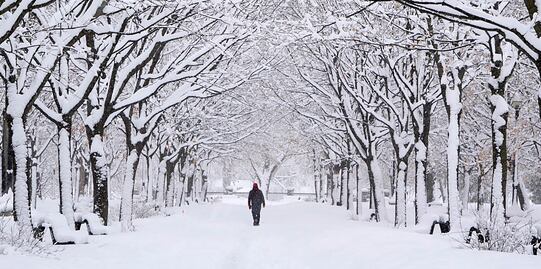 Registran temperaturas de hasta -50 grados centígrados en Canadá