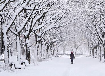 Registran temperaturas de hasta -50 grados centígrados en Canadá