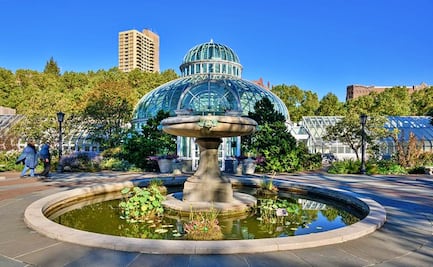 Jardín Botánico de NY ofrece clases en línea de jardinería y arte 