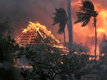 Confirman muerte de dos mexicanos por los devastadores incendios en Hawái