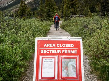 ¿Es seguro hacer senderismo en las Montañas Rocosas? Dos excursionistas mueren tras desprendimiento de rocas en Canadá