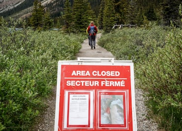 ¿Es seguro hacer senderismo en las Montañas Rocosas? Dos excursionistas mueren tras desprendimiento de rocas en Canadá