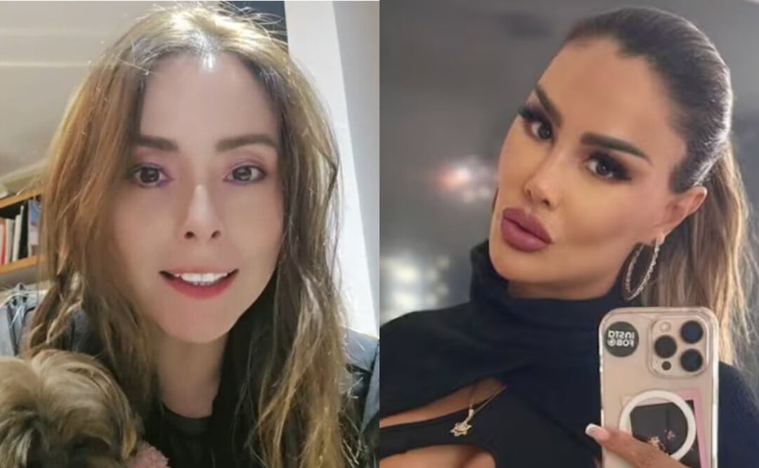 ¿Ninel Conde, Paola Suárez, Maryfer Centeno en La Casa de las Famosos? Filtran supuesta lista de participantes. Foto: Captura TikTok / Instagram @ninelconde