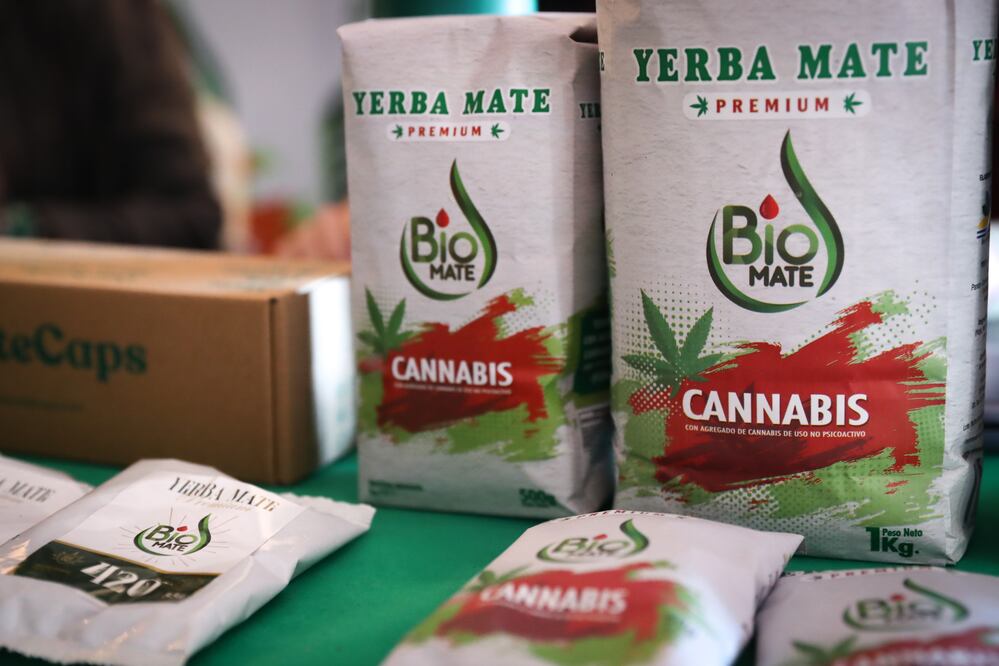 Nueva York dará casi 1.500 licencias para negocios de marihuana en las próximas semanas. EFE/ Raul Martinez