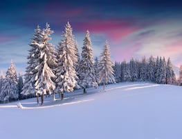 ¿Qué es el Solsticio de Invierno? ¿Cuándo es el día más corto del año en 2024?