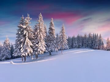 ¿Qué es el Solsticio de Invierno? ¿Cuándo es el día más corto del año en 2024?