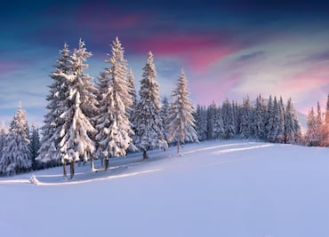 ¿Qué es el Solsticio de Invierno? ¿Cuándo es el día más corto del año en 2024?