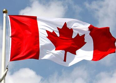 Canadá ofrece 30 plazas a mexicanos en trabajo de cuidado de cerdos