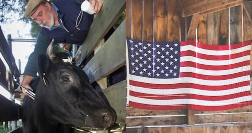 Solicitan veterinario mexicano para trabajar en Estados Unidos por $57,000