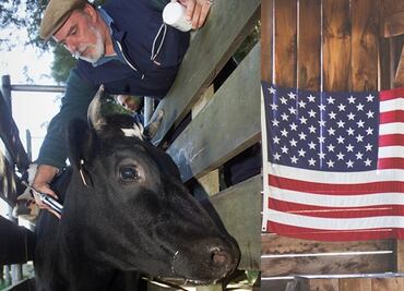 Solicitan veterinario mexicano para trabajar en Estados Unidos por $57,000