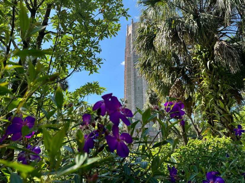 Bok Tower Gardens.