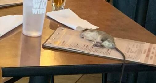 Rata cae sobre mujer en restaurante de alitas en Los Ángeles 