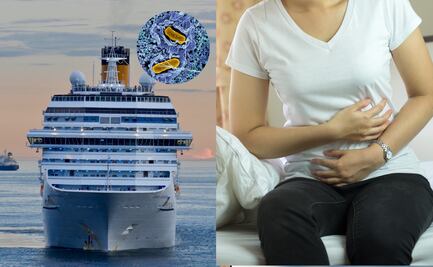 Alerta por salmonela: retiran pepinos del mercado tras brote en crucero