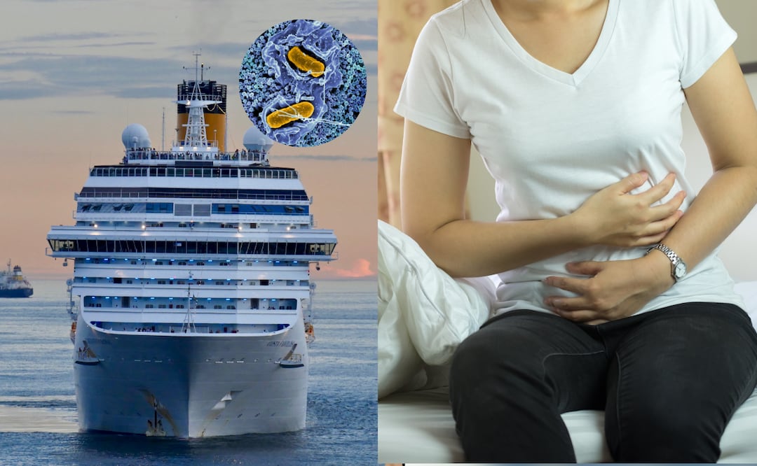 Alerta por salmonela: retiran pepinos del mercado tras brote en crucero Foto: NIH / Canva