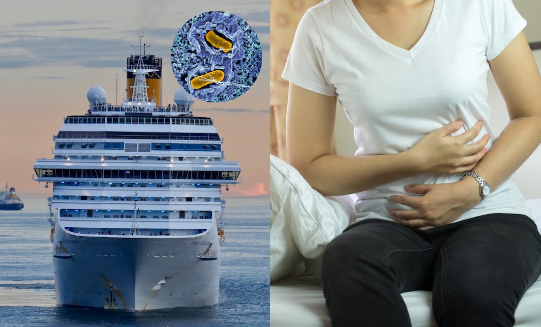 Alerta por salmonela: retiran pepinos del mercado tras brote en crucero Foto: NIH / Canva