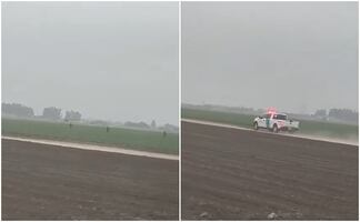 ICE desata persecución de migrantes en campos agrícolas de California; "persiguen a quienes alimentan a EU"