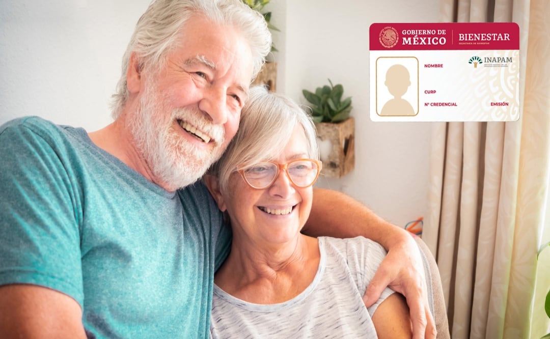 ¿Dónde tramitar la credencial INAPAM? Estas tiendas de autoservicio la entregan al instante
Foto: Adobe / INAPAM