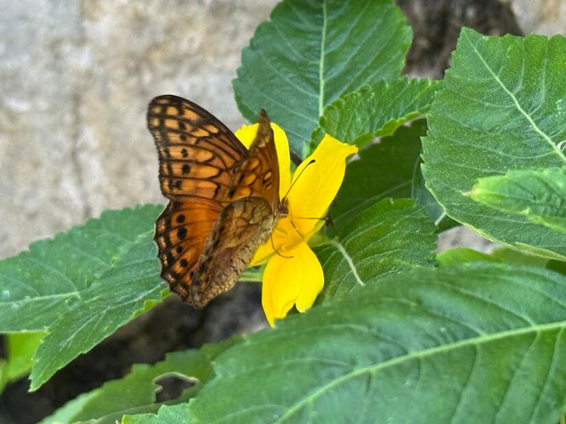 Xcaret. Foto: Diana Espinoza