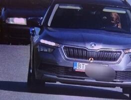 ¡Quítense de mi camino! Captan a perro ‘manejando’ a exceso de velocidad