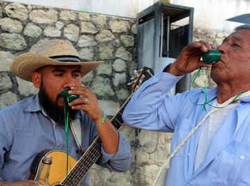 Científicos de Florida identifican al "gusano" del mezcal
