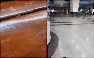 Alertan por chinches en el Tren Suburbano; fueron captadas en VIDEO por pasajeros