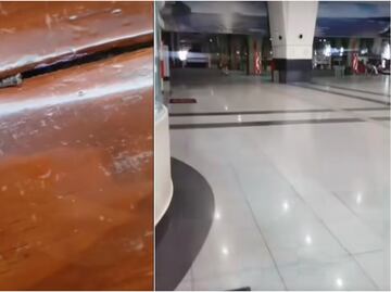 Alertan por chinches en el Tren Suburbano; fueron captadas en VIDEO por pasajeros