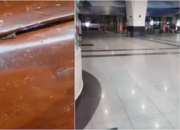 Alertan por chinches en el Tren Suburbano; fueron captadas en VIDEO por pasajeros