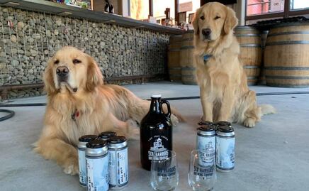 Perros 'entregan' cerveza a domicilio en Nueva York en medio de la pandemia