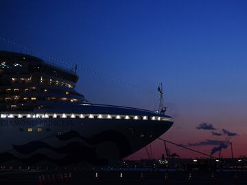 Suspenden crucero de Princess por brote de gastroenteritis