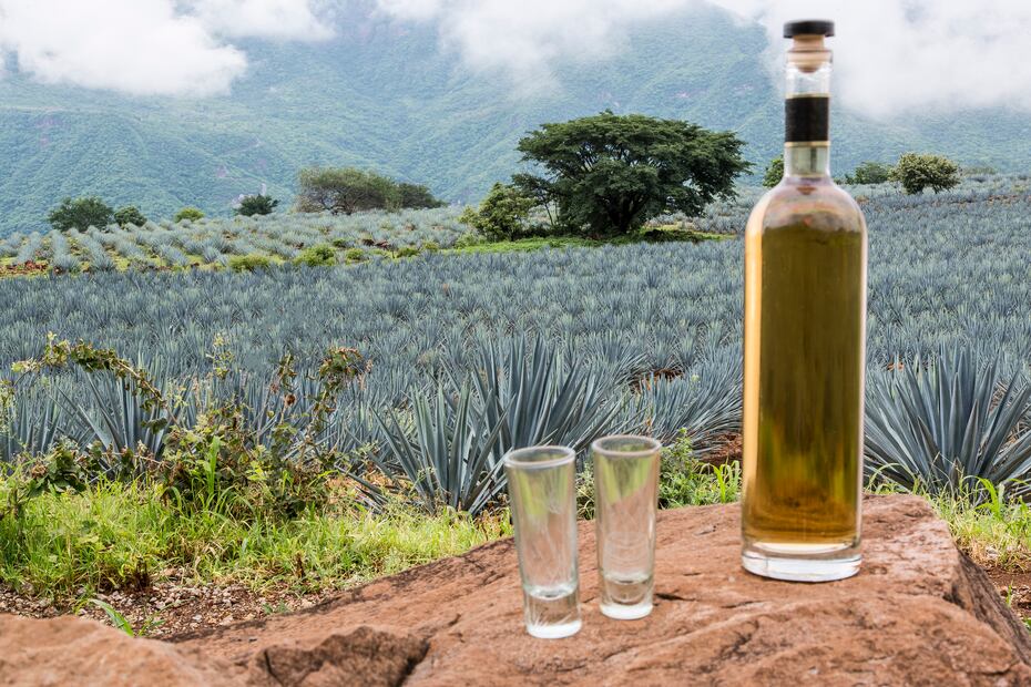 Tequila y Mezcal entre los mejores licores del mundo en 2024, según Taste Atlas: ¿Qué bebida les gana? iStock/camaralenta