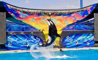 SeaWorld en San Diego comenzará su reapertura limitada