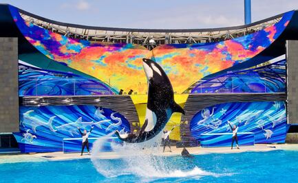 SeaWorld en San Diego comenzará su reapertura limitada