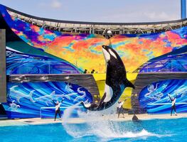 SeaWorld en San Diego comenzará su reapertura limitada