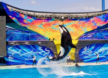SeaWorld en San Diego comenzará su reapertura limitada