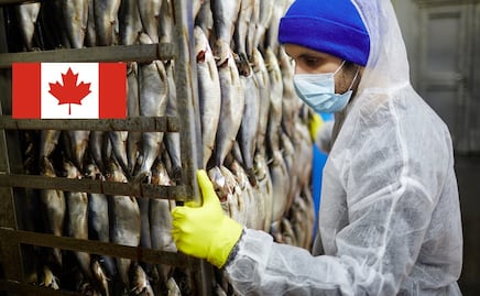 Quebec congela llegada de trabajadores temporales extranjeros por esta razón