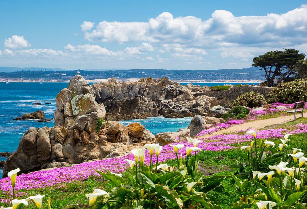 Monterey/ iStock/ gangliu10