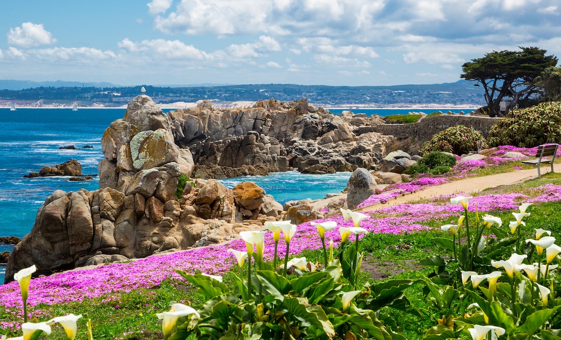 Monterey/ iStock/ gangliu10