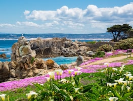 Viaje por la costa de California: una inmersión a la naturaleza y al mejor vino de Estados Unidos