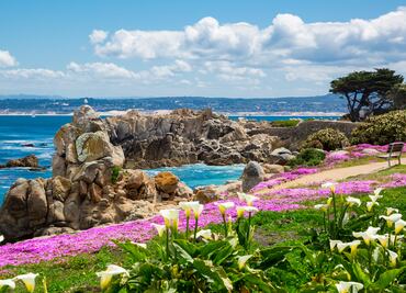 Viaje por la costa de California: una inmersión a la naturaleza y al mejor vino de Estados Unidos