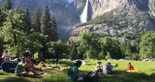 Excremento se acumula en parques de EU por cierre de gobierno