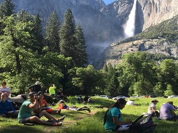 Excremento se acumula en parques de EU por cierre de gobierno