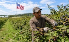 Estados Unidos busca mexicanos para trabajar podando arbustos: Pagan $35,700 y no piden inglés