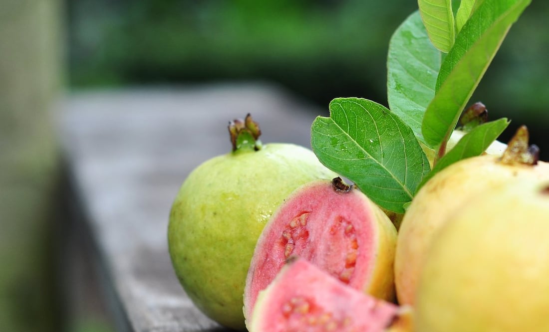 10 beneficios de las hojas de guayaba para mejorar tu salud. Foto: iStock / Evri Onefive