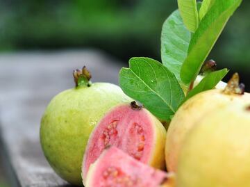 ¿Para qué sirven las hojas de guayaba? 10 beneficios para la salud según la Biblioteca de Medicina de EU