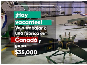 Hay vacantes. Ve a trabajar como mexicano a Canadá en fábrica y gana $35,000