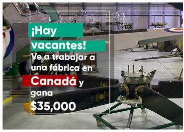Hay vacantes. Ve a trabajar como mexicano a Canadá en fábrica y gana $35,000