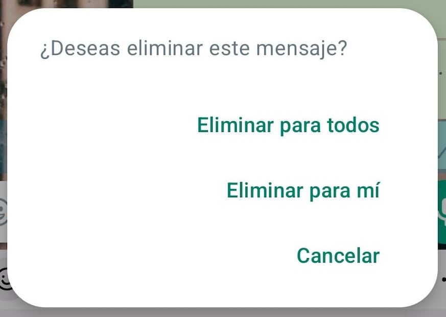 ¿Cómo borrar mensajes de WhatsApp para que nadie los vea? Foto: Screenshot WhatsApp