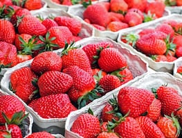 Vinculan brote de hepatitis A con fresas orgánicas mexicanas