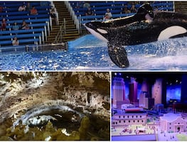 Conciertos, tours y todo lo que puedes hacer en San Antonio durante un viaje relámpago