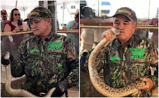Entrenador de serpientes de cascabel muere en espectáculo por mordida de una 